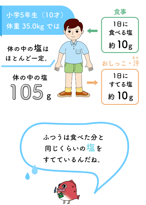 からだの中の塩