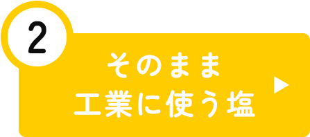 そのまま工業に使う塩